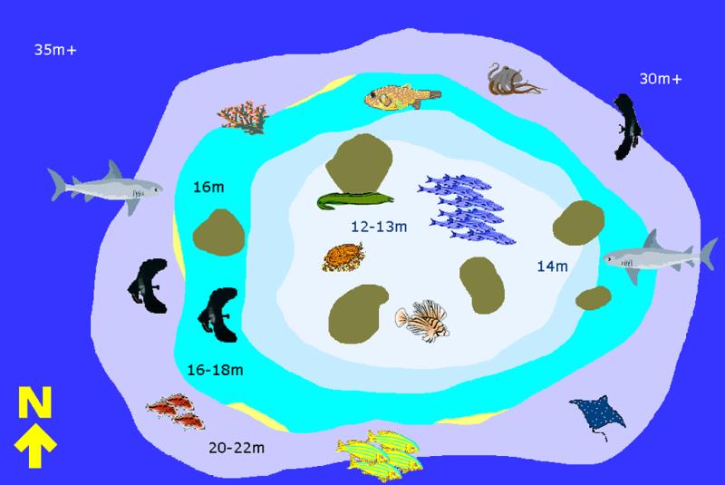 Site Map of 12.5 Thila Dive Site, Maldives