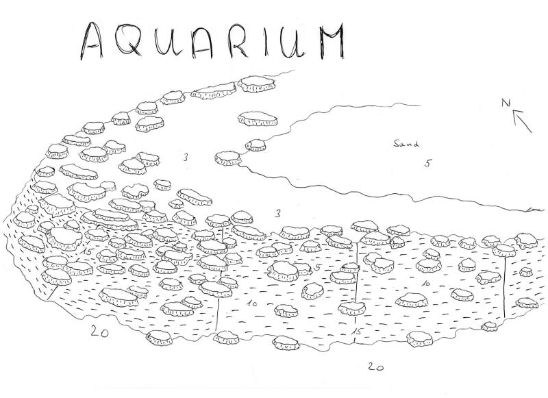 Site Map of Aquarium Dive Site, Maldives