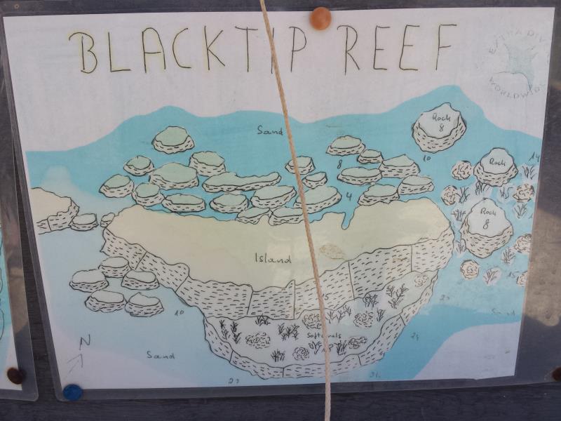 Site Map of Black Tip Reef Dive Site, Oman