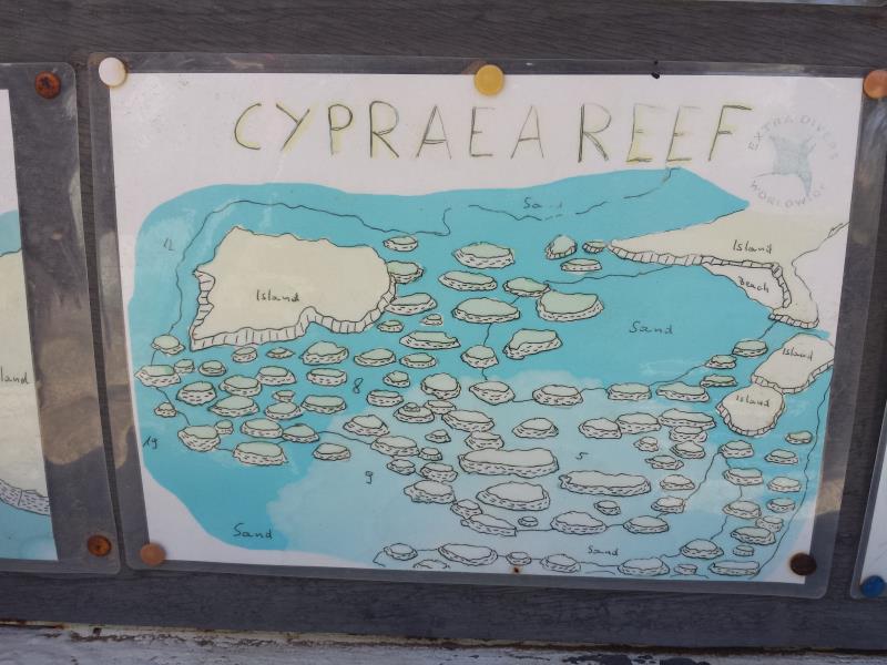 Site Map of Cypraea Reef Dive Site, Oman