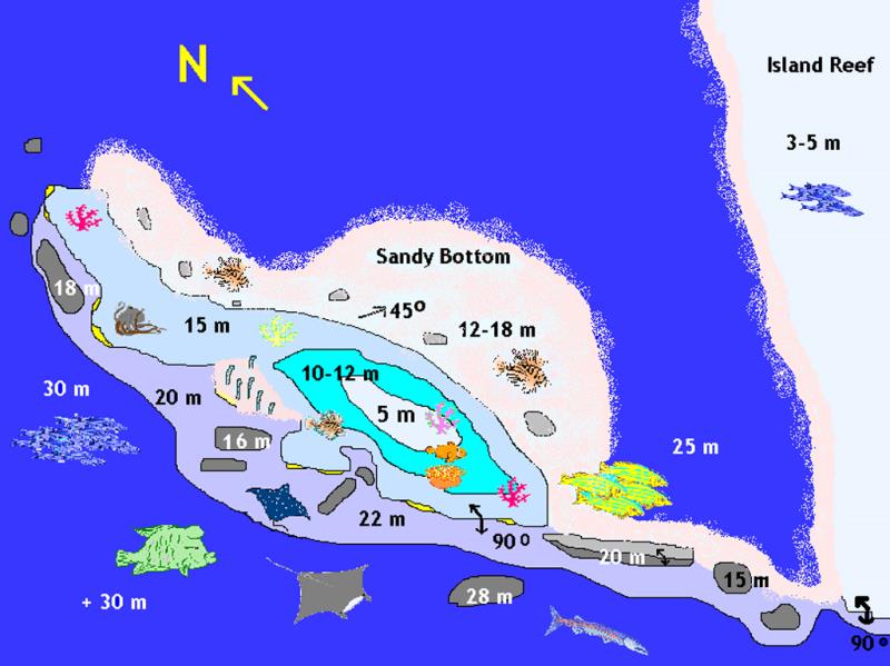 Site Map of Dharavandhoo Thila Dive Site, Maldives