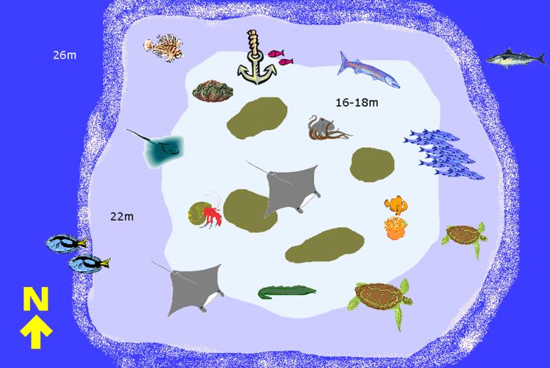 Site Map of Fhun Faru  Dive Site, Maldives