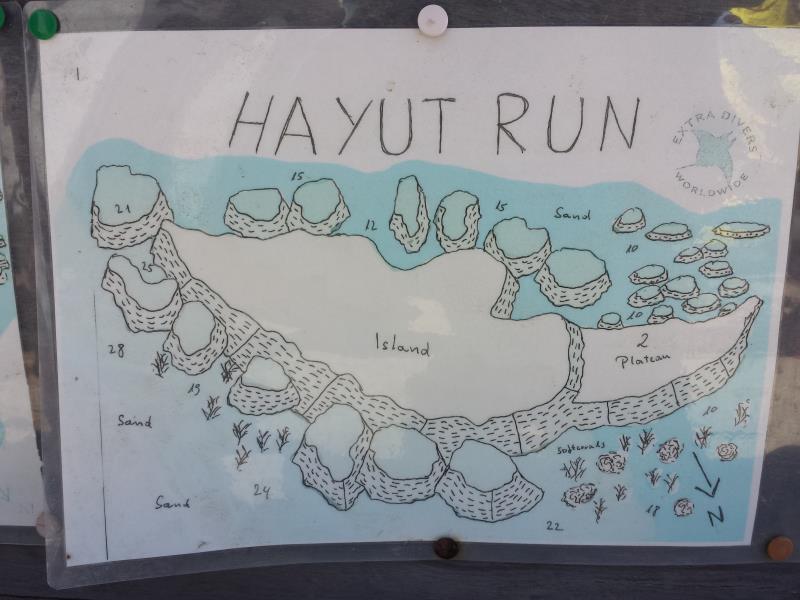 Site Map of Hayut Run Dive Site, Oman