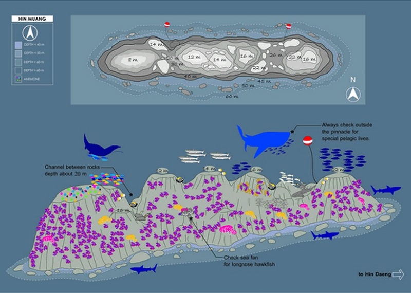 Site Map of Hin Muang Dive Site, Thailand
