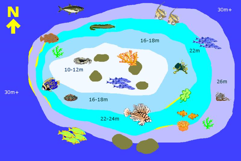 Site Map of Medu Thila Dive Site, Maldives