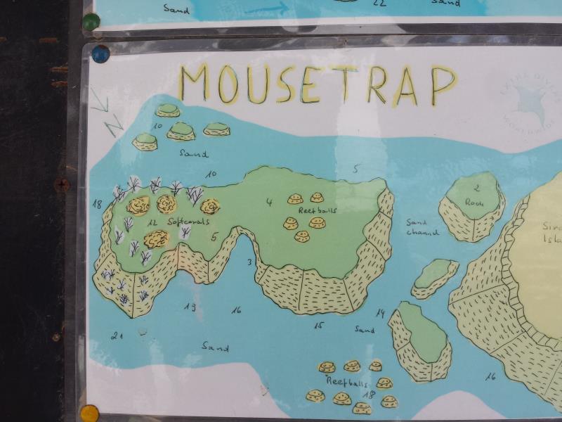 Site Map of Mouse Trap Dive Site, Oman