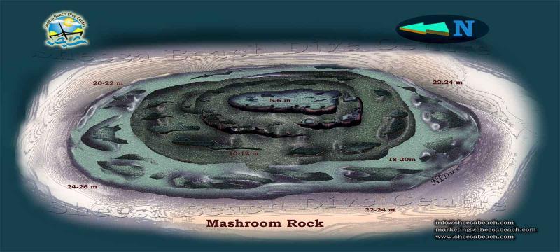 Site Map of mushroom rock Dive Site, Oman
