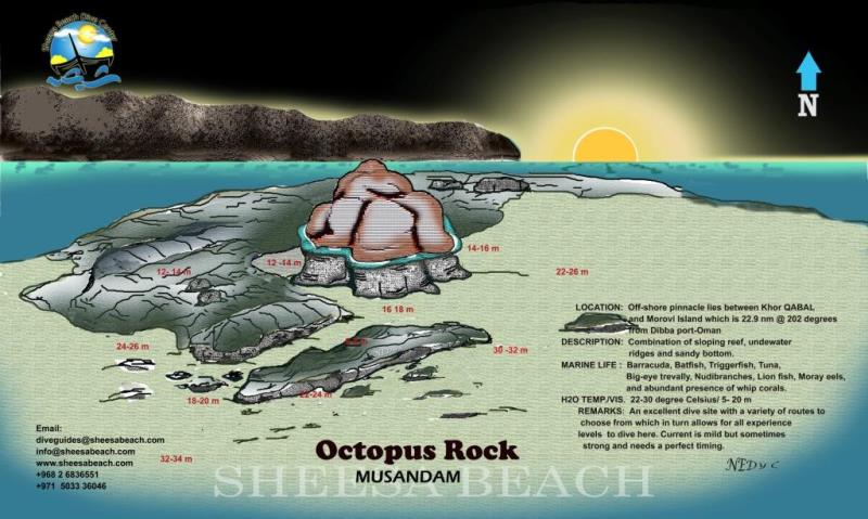 Site Map of Octopus Rock Dive Site, Oman
