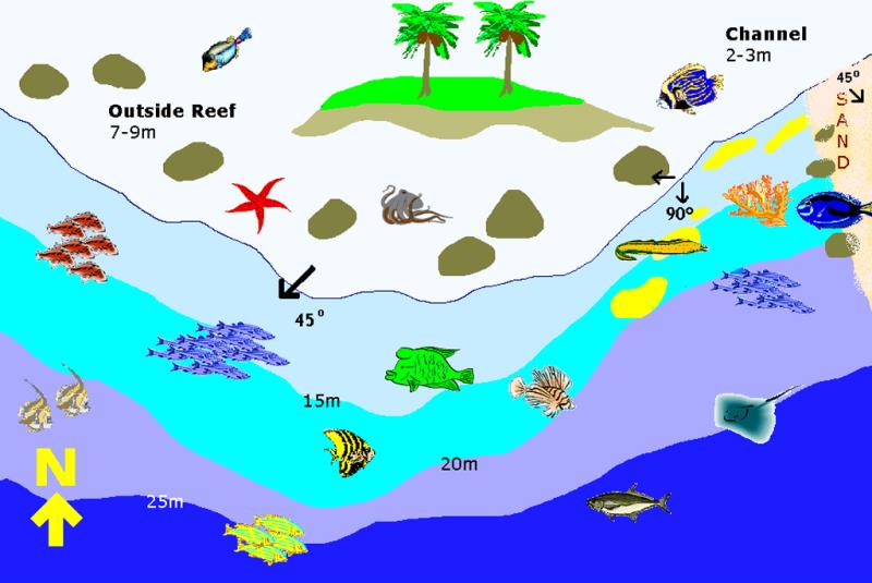 Site Map of Olhugiri Kandu Dive Site, Maldives