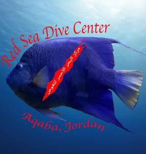Red Sea Dive Centre