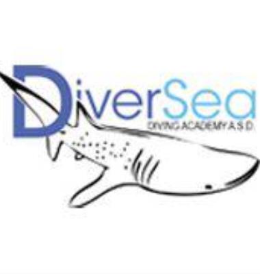 Diver Sea - Diving Academy
