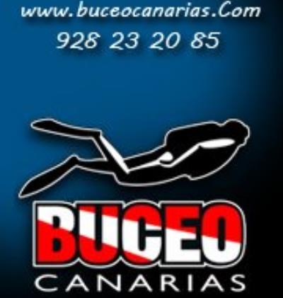 BUCEO CANARIAS