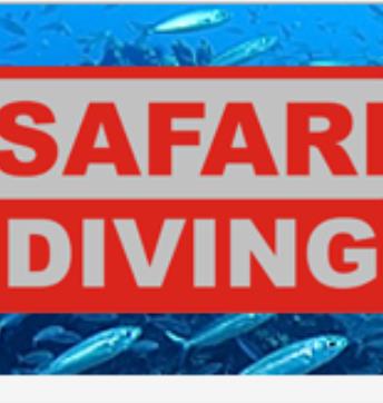 Safari Diving Lanzarote