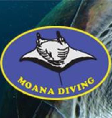 Moana Diving