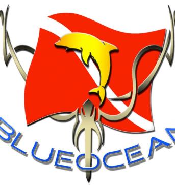 Blue Ocean Mergulho