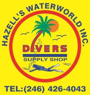 Hazell's Water World, Inc.