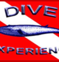 Dive Experience, Inc.