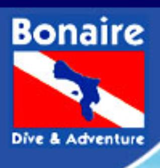 Bonaire Dive and Adventure