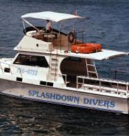 Splashdown Divers