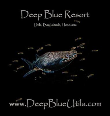 Deep Blue Divers