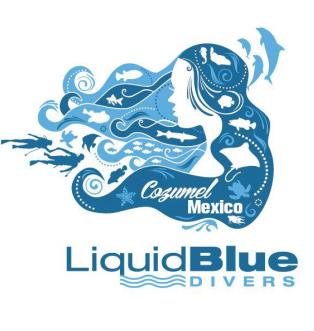 Liquid Blue Divers