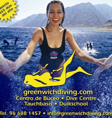 greenwichdiving.com