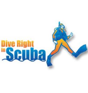 Dive Right In Scuba