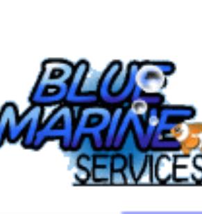 Blue Marine Services