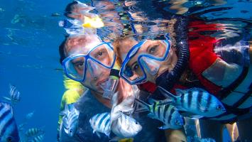 snorkeling Koh Samui
