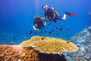 Diving Snorkeling Koh Samui