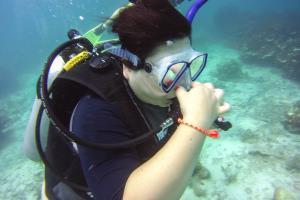 try diving Koh Samui