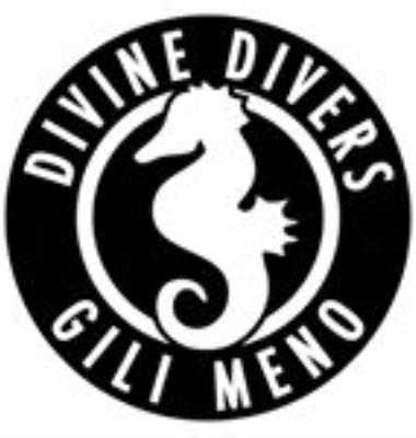 Divine Divers