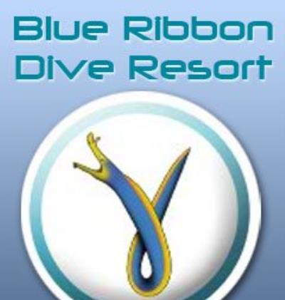 Blue Ribbon Divers