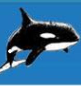ORCA na Kamchatke