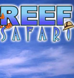 Reef Safari - Shangri-La