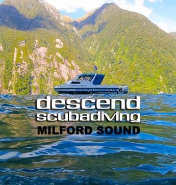 Descend Scuba Diving
