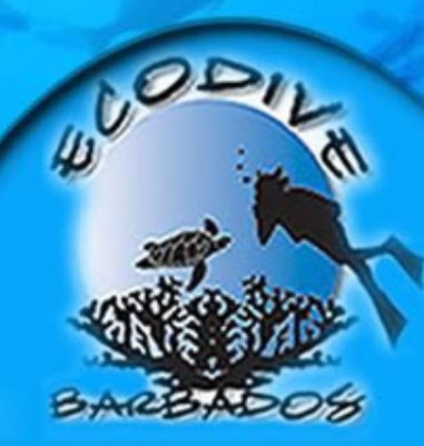 Eco Dive Barbados