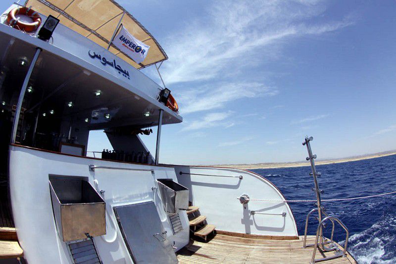 væsentligt Afvige Med venlig hilsen Emperor Pegasus Dive Boat | Red Sea Liveaboard Diving Holidays
