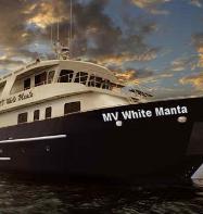 MV White Manta 