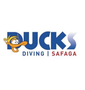 Ducks Diving Safaga