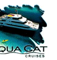 Aquacat