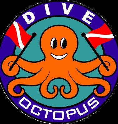 Octopus Dive Nusa Penida