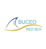 Buceo red sea
