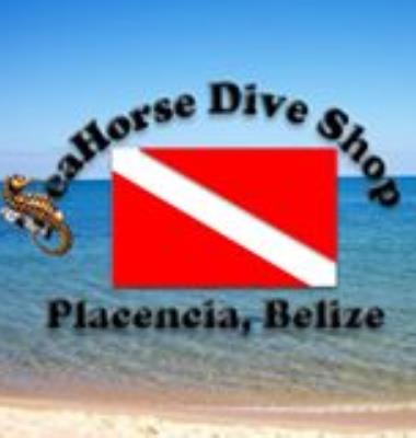 Seahorse Dive Shop
