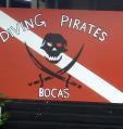 Bocas Diving Pirates