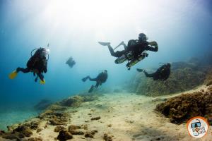 Guided Dive at Amarandos cape, Skopelos, N.Sporades, Greece