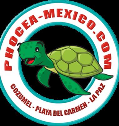 Phocea Mexico Cozumel