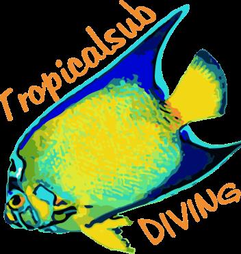 Tropicalsub Diving