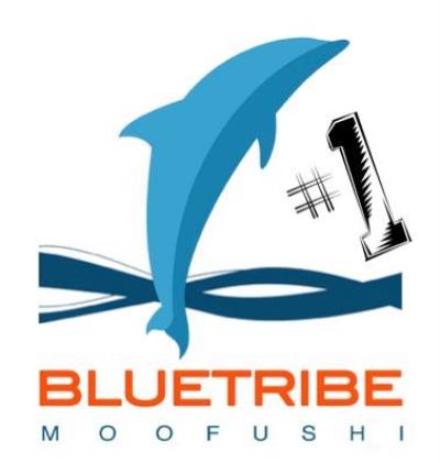 Diving Bluetribe Moofushi