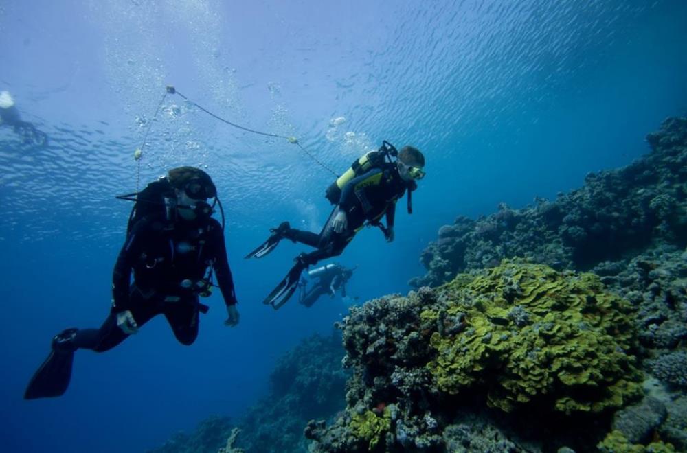 Diving Ocean (Dahab) Dive Shop, Scuba Diving Egypt | Dahab Diving